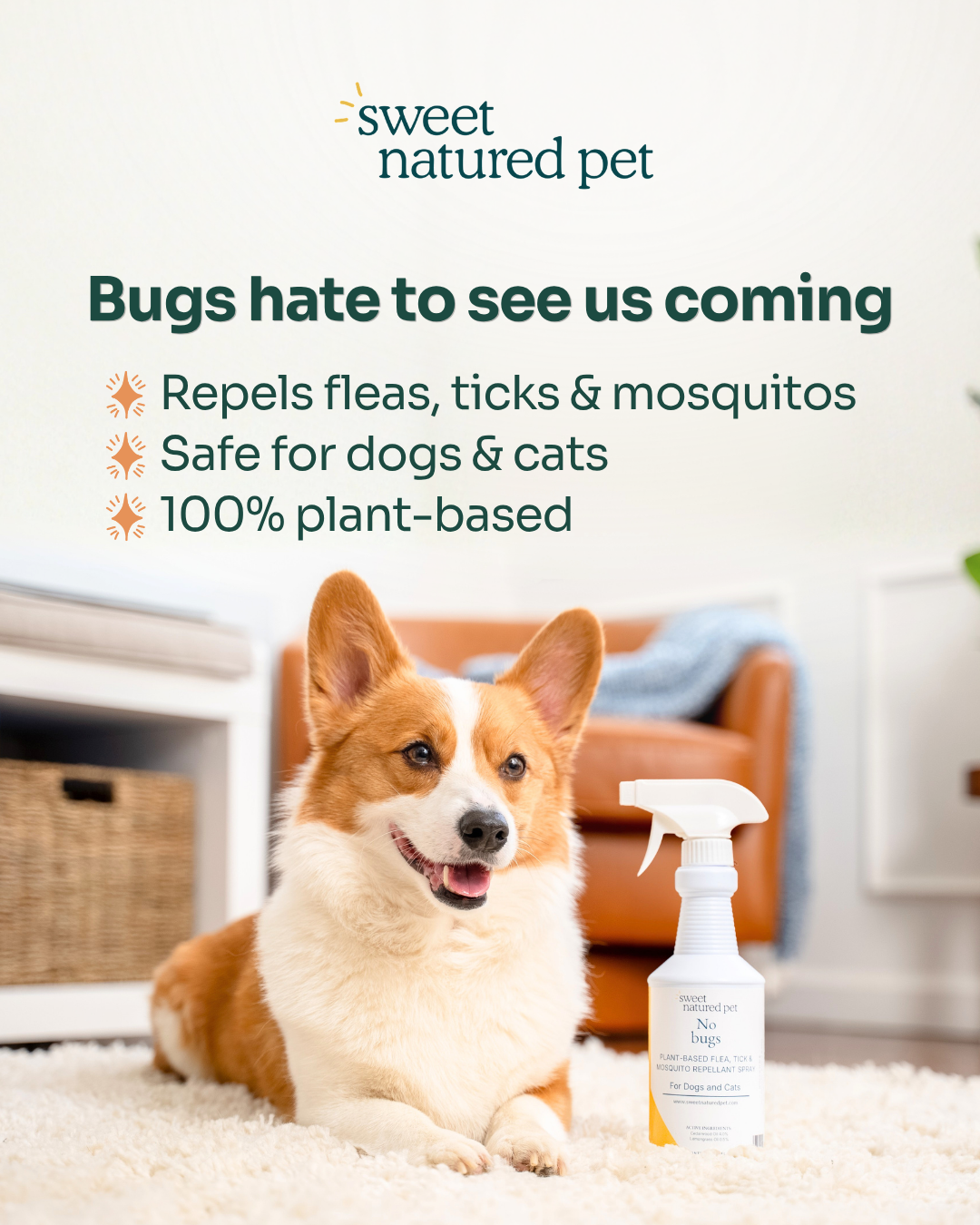 aspirational Natural Pet Care – Flea & Tick Spray ad creative — Sweet Natured Pet