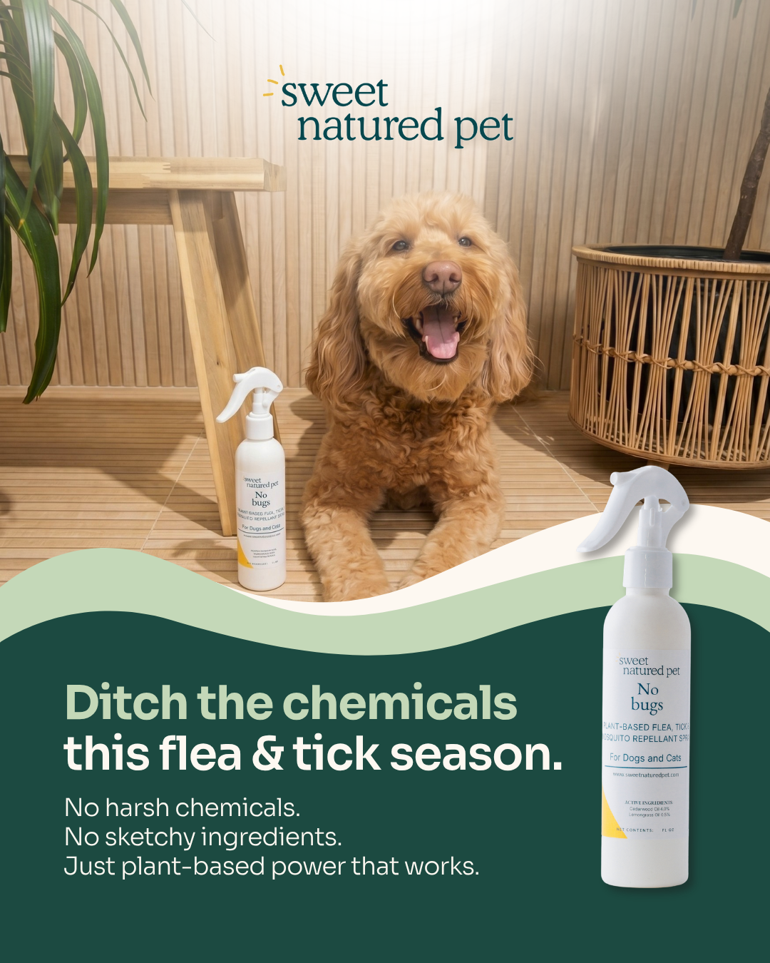 educational Natural Pet Care – Flea & Tick Spray ad creative — Sweet Natured Pet