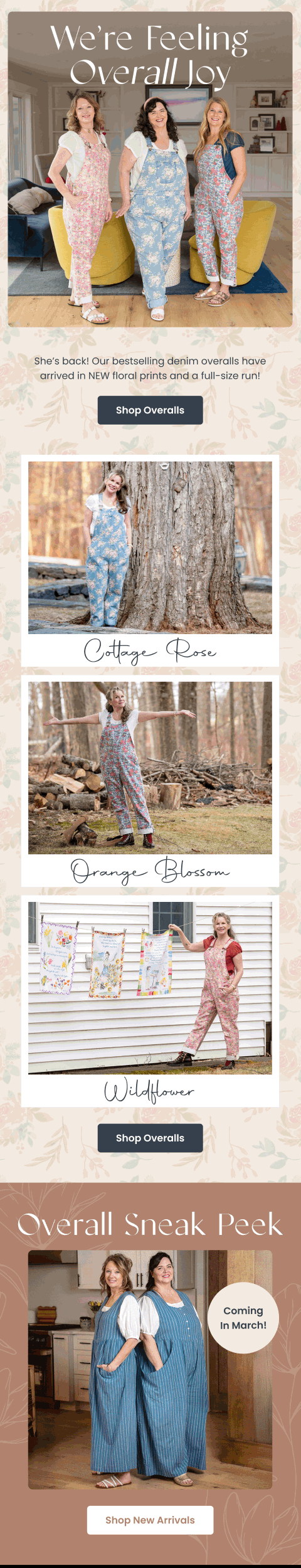 Limited Time Essentials Pack Deal — Goldthread email