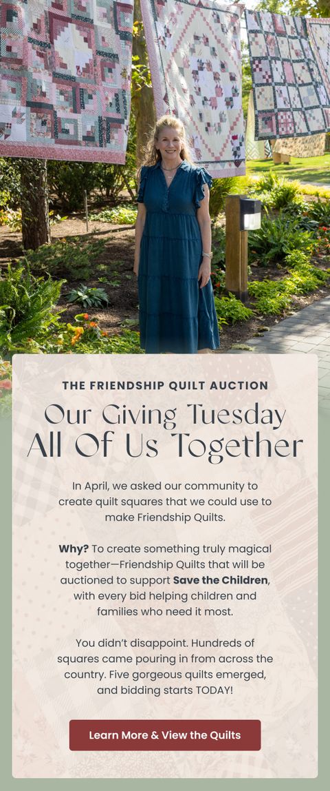 Friendship Quilt Community Auction — Modern Prairie email