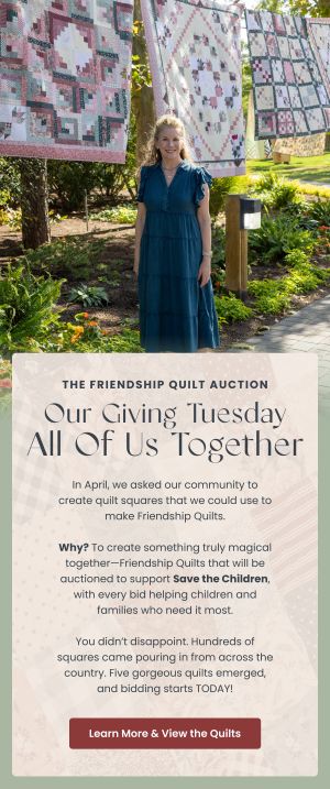 Friendship Quilt Community Auction — Modern Prairie email