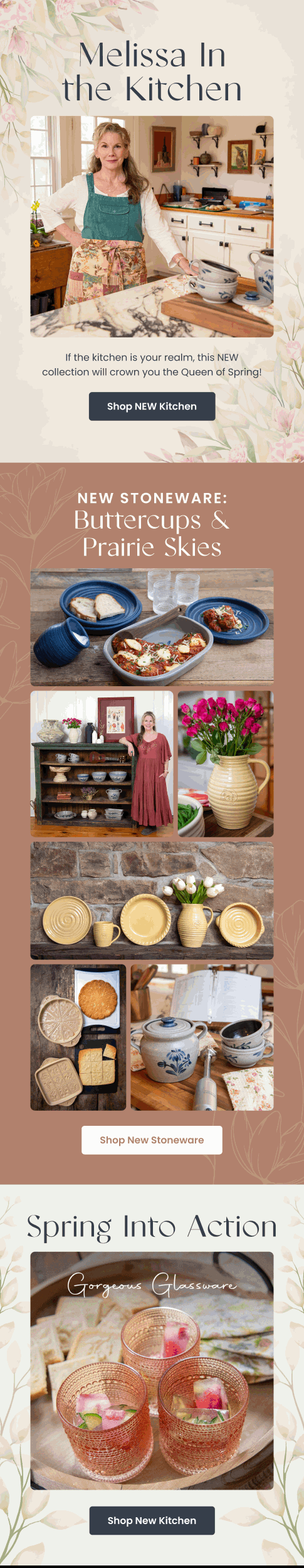Promotional email — Melissa In Kitchen Spring by Modern Prairie