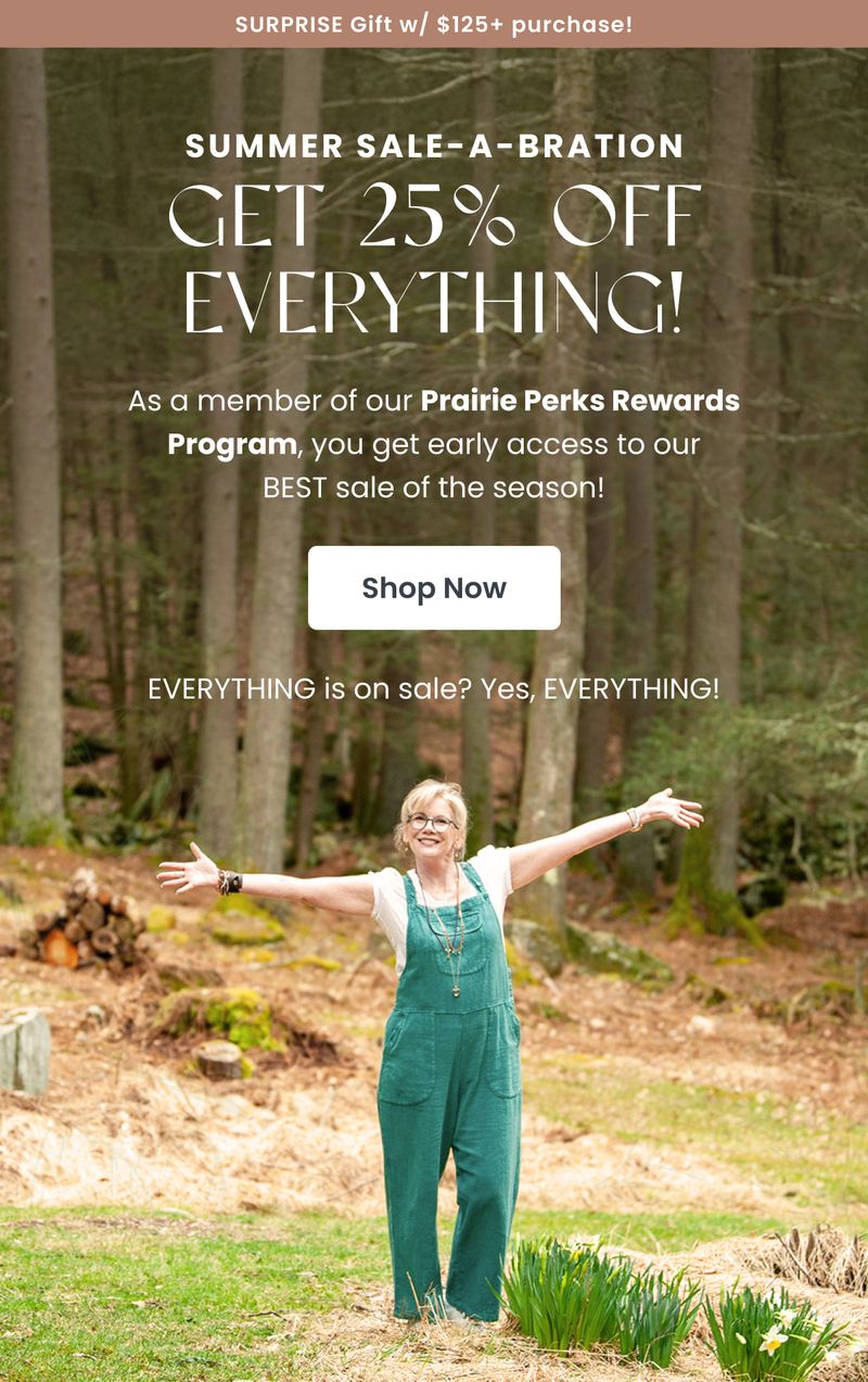 Promotional email — Summer Sale Early Access by Modern Prairie